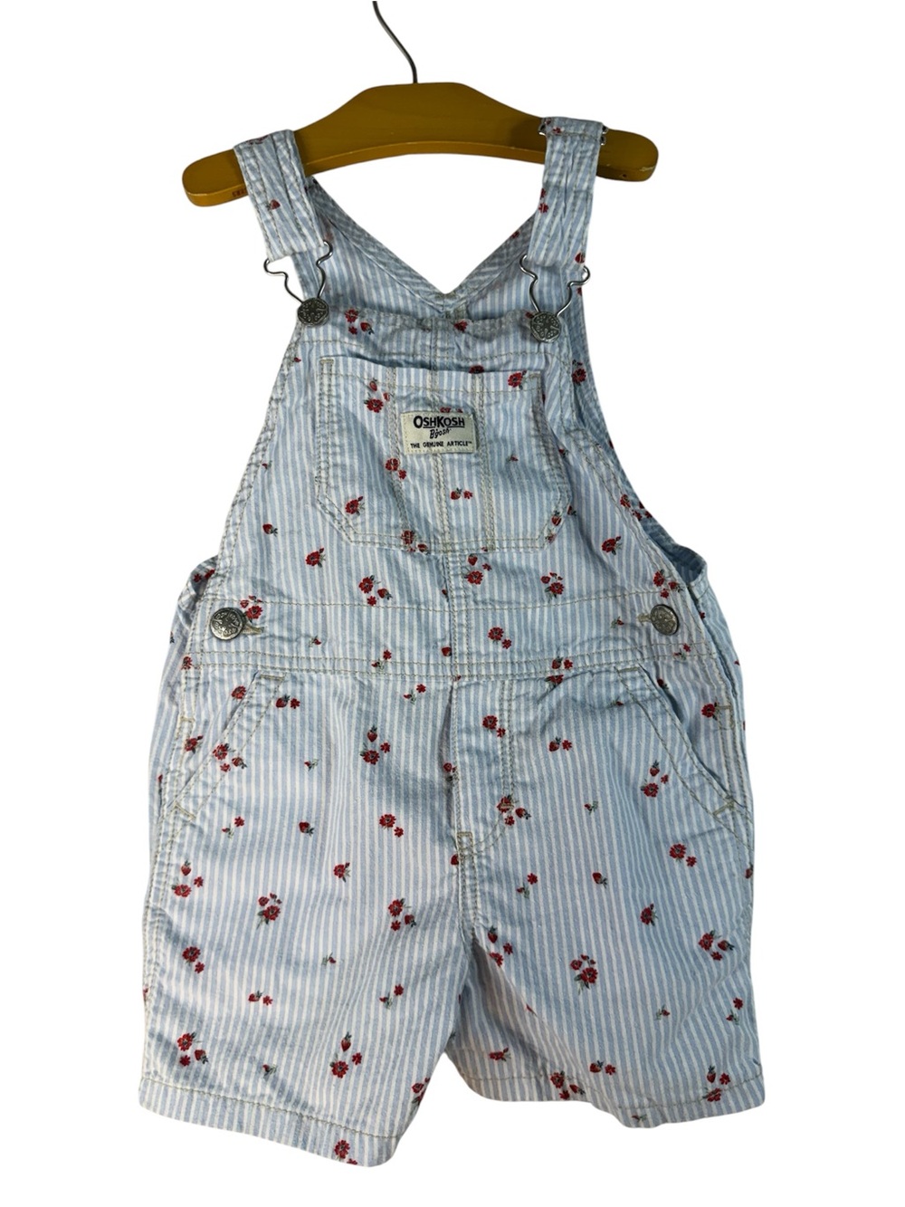 OshKosh B'gosh Light Blue & Red Floral Stripe Short Overalls